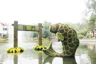 五色草造型--鯉魚越龍門